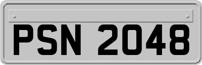 PSN2048