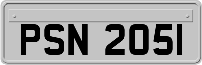 PSN2051