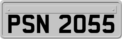 PSN2055