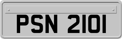 PSN2101