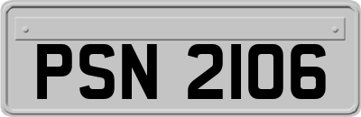 PSN2106