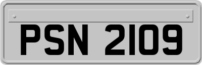 PSN2109