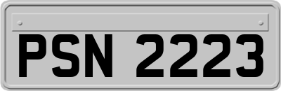 PSN2223