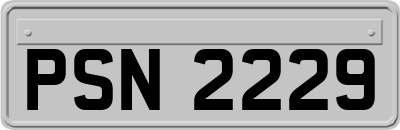 PSN2229