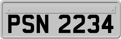 PSN2234
