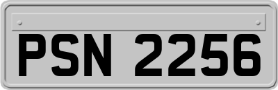 PSN2256