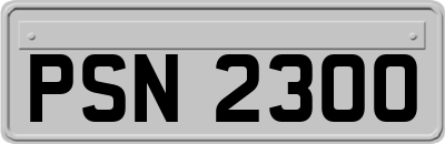PSN2300