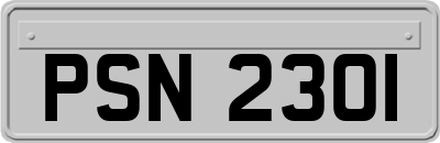 PSN2301