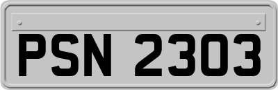 PSN2303