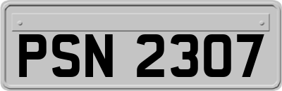 PSN2307