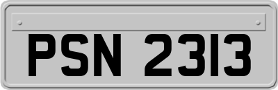 PSN2313