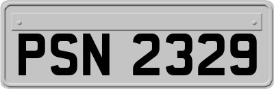 PSN2329