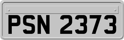 PSN2373