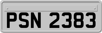 PSN2383