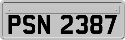 PSN2387