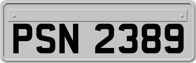 PSN2389