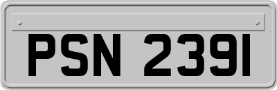 PSN2391