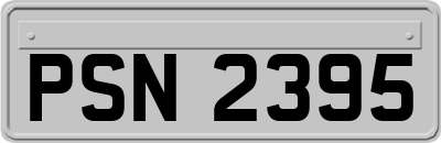 PSN2395