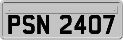 PSN2407