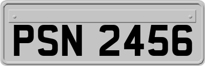 PSN2456