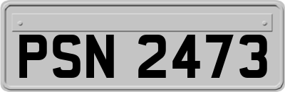 PSN2473