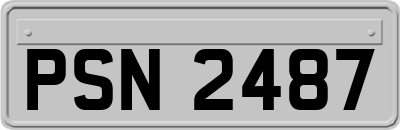 PSN2487