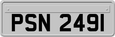 PSN2491