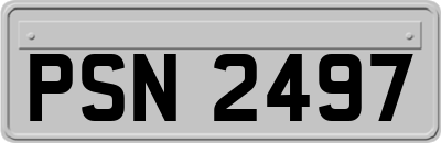 PSN2497