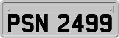 PSN2499