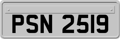 PSN2519