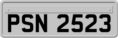 PSN2523