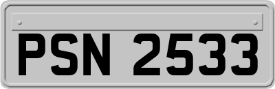 PSN2533