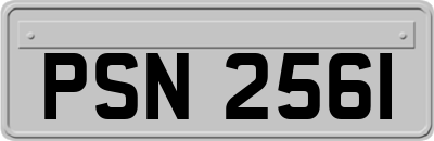PSN2561