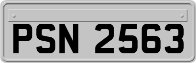 PSN2563