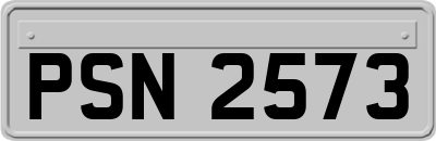 PSN2573