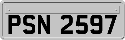 PSN2597