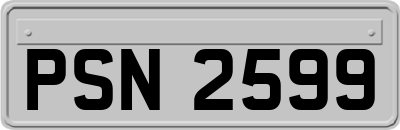 PSN2599