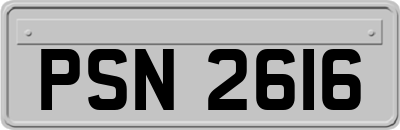 PSN2616
