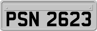 PSN2623