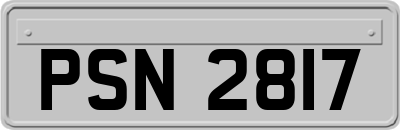 PSN2817