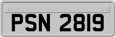 PSN2819