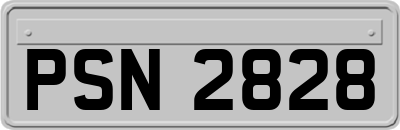 PSN2828