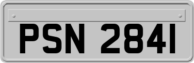 PSN2841