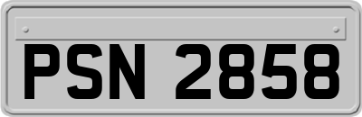 PSN2858