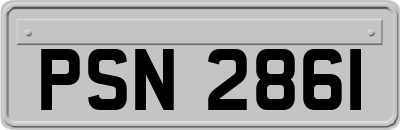 PSN2861
