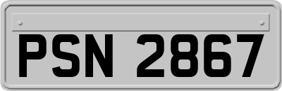 PSN2867