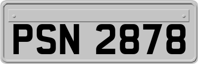 PSN2878