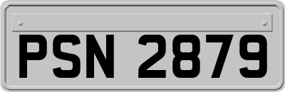PSN2879