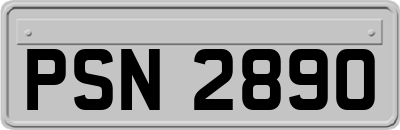 PSN2890