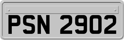 PSN2902